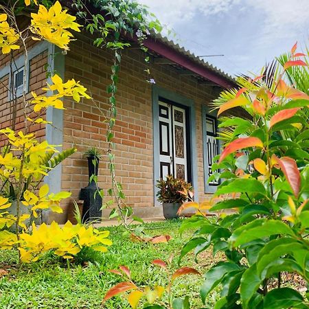 Ashok Villa Велигама Экстерьер фото
