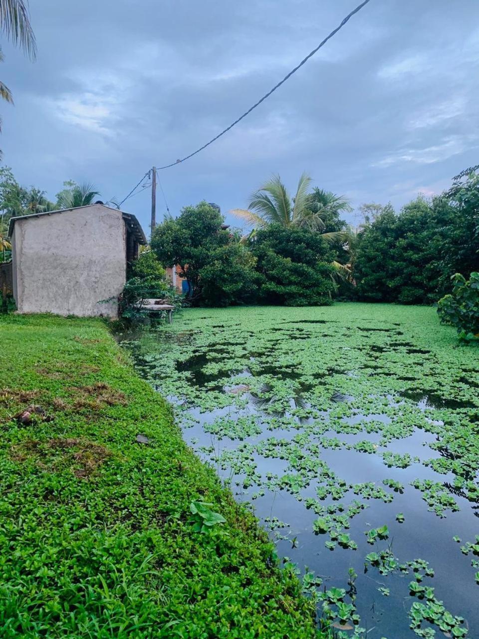 Ashok Villa Велигама Экстерьер фото