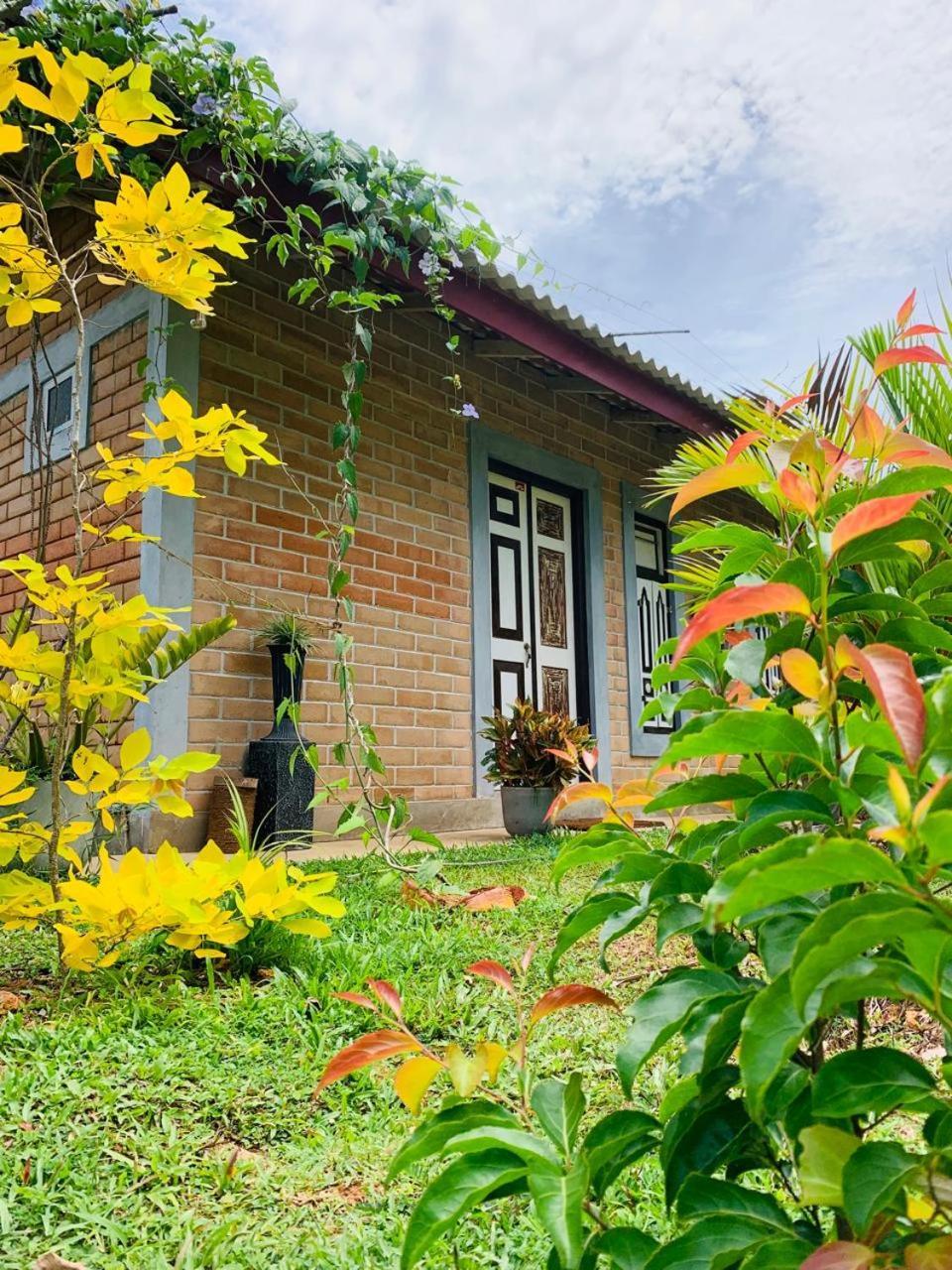 Ashok Villa Велигама Экстерьер фото