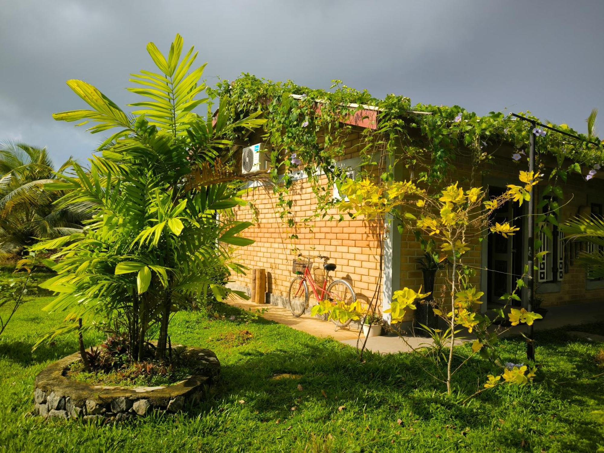 Ashok Villa Велигама Экстерьер фото