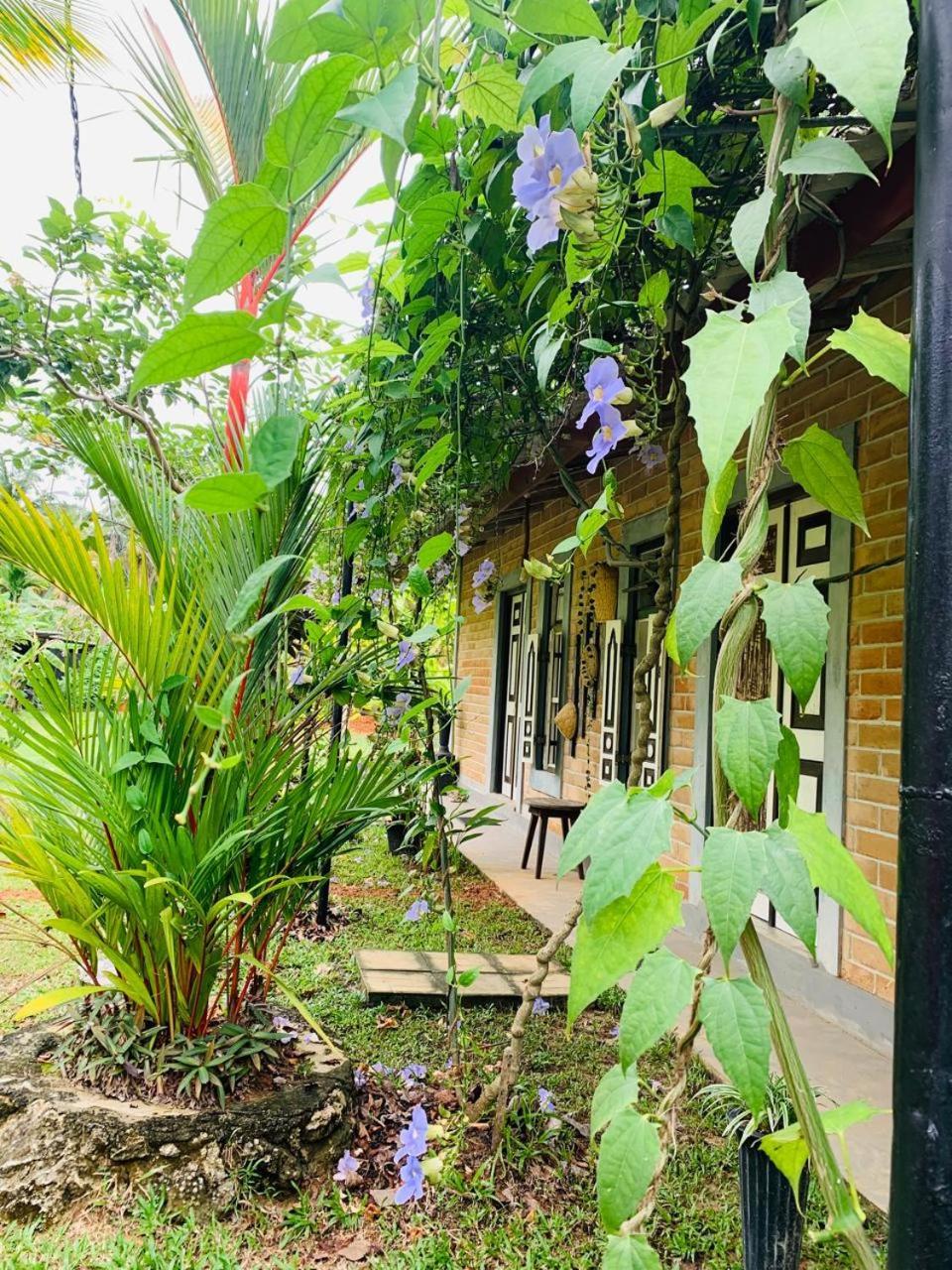 Ashok Villa Велигама Экстерьер фото