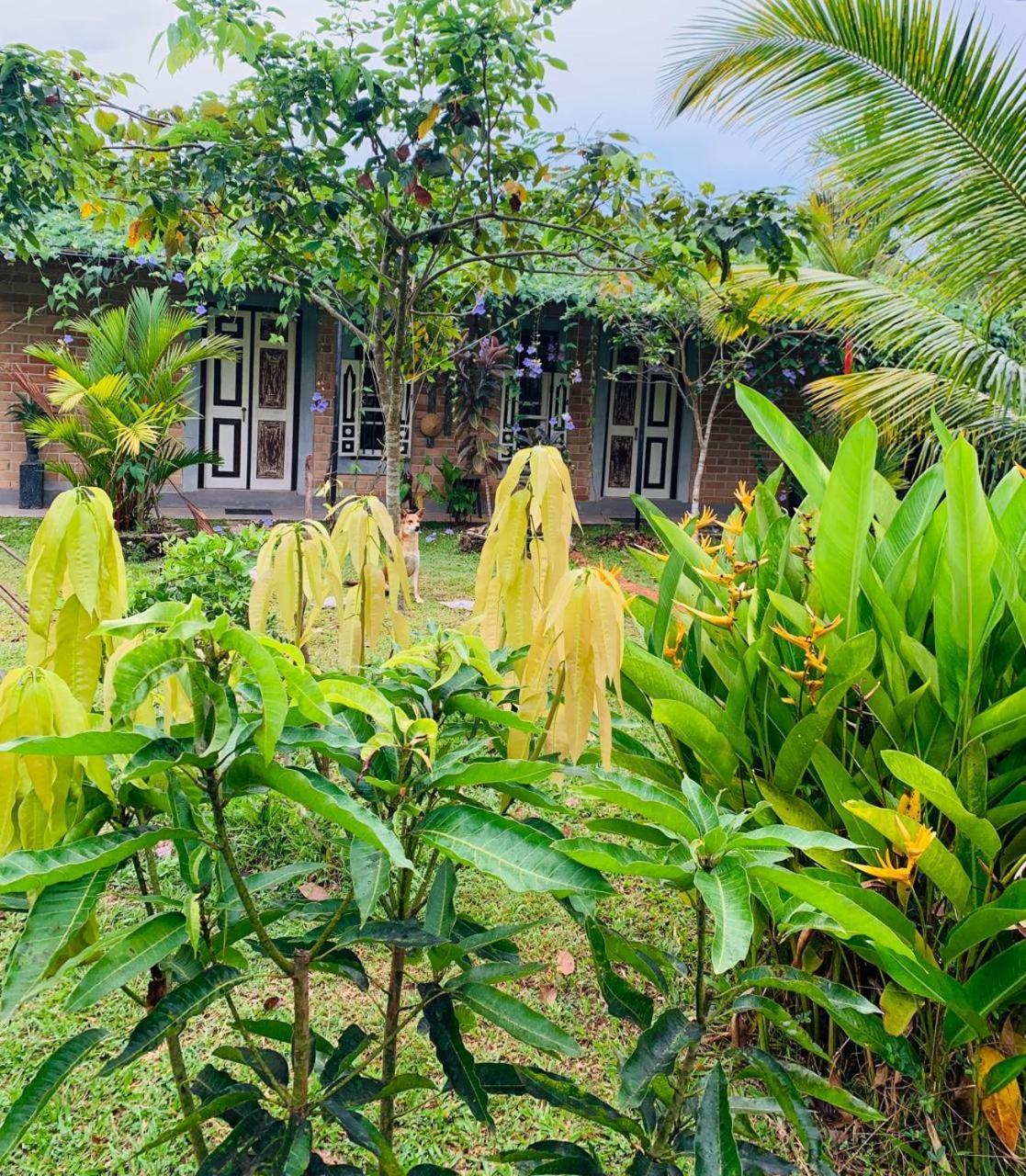 Ashok Villa Велигама Экстерьер фото