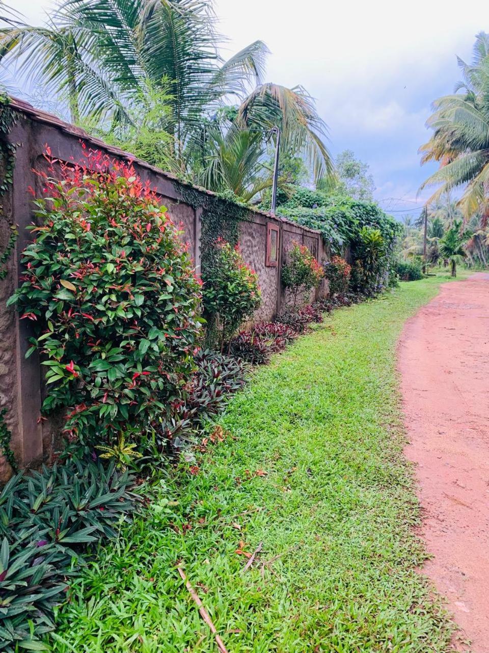 Ashok Villa Велигама Экстерьер фото
