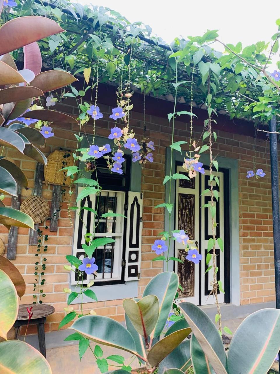 Ashok Villa Велигама Экстерьер фото